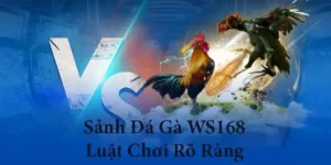 Làm Chủ Cách Chơi Đá Gà WS168 Tại SBOBET Trong Vài Phút